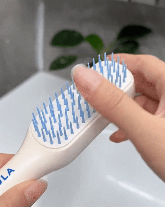 Loot Phoot™ Self Cleaning Hair Brush, One-Click Cleaning Loot Phoot™