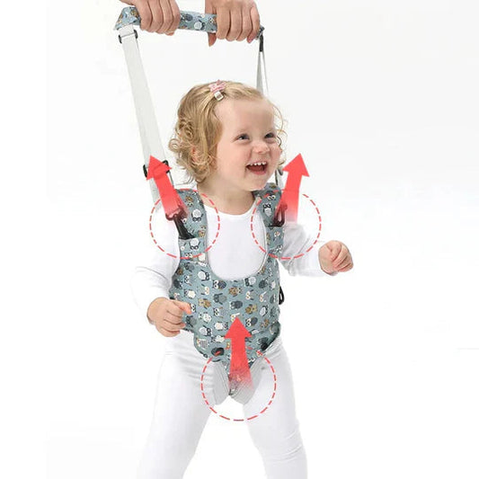Loot Phoot™ Adjustable Toddler Walking Safe Standing Baby Loot Phoot™